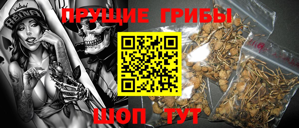 Псилоцибиновые грибы MAGIC MUSHROOMS  Галлюциногенные грибы GOLDEN TEACHER  Серов  Вход с VPN 